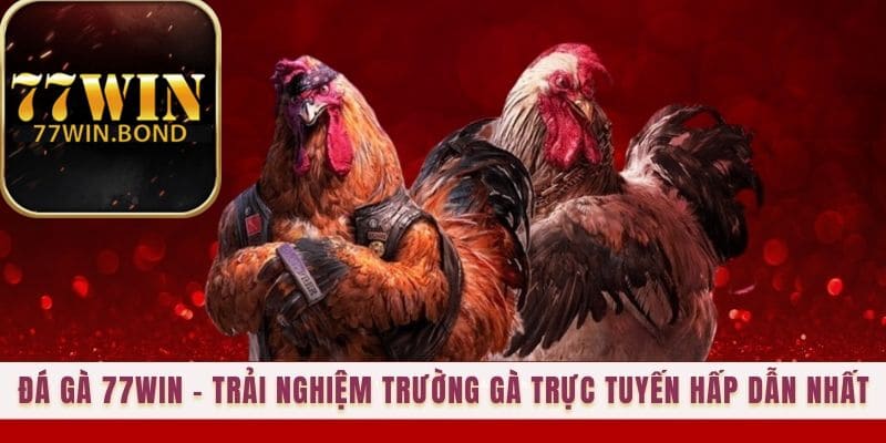 Đá Gà 77win